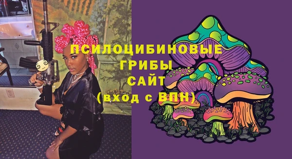 а пвп мука Карпинск