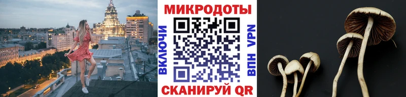 Галлюциногенные грибы Cubensis  Купить  Венёв 